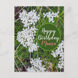 Fresh Green and White Blume Happy Birthday Mama Postkarte