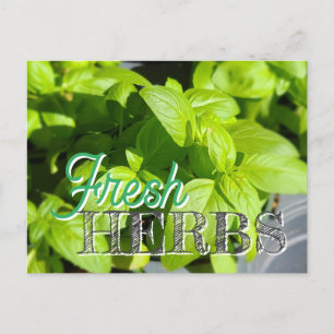 FRESH HERBS Garden Basilikum Rezept Canning Postkarte