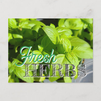 FRESH HERBS Garden Basilikum Rezept Canning Postkarte
