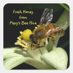 Fresh Honey Bee Hive Square Labels Quadratischer Aufkleber