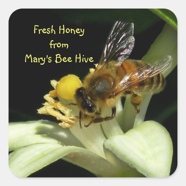Fresh Honey Bee Hive Square Labels Quadratischer Aufkleber (Vorderseite)