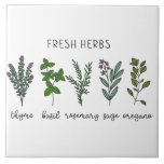 Fresh Kräbs Thyme Basil Bauernhof Fliese<br><div class="desc">Frische Kräuter inklusive Thymian, Basilikum, Salbei, Rosmarin & Oregano auf einem einfachen weißen Hintergrund. Die Keramik wurde mit einer einfachen Aquarellgrafik aus diesem Bauernhof hergestellt.</div>
