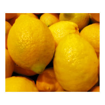 Fresh Lemons 24"x20" Poster