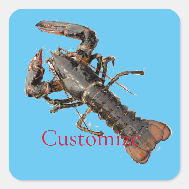 Fresh Maine Hummer Thunder_Cove Quadratischer Aufkleber (Vorderseite)