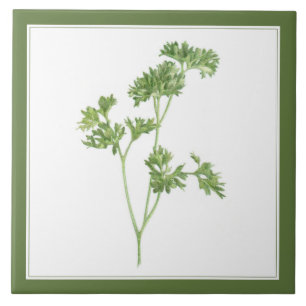 FRESH PARSLEY 6x6 Keramik Tile (-text) Grün Fliese