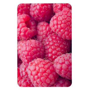 Fresh raspberries magnet