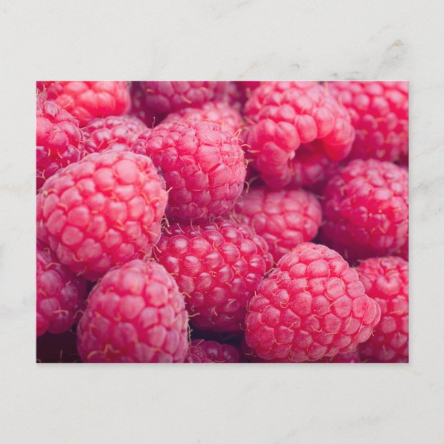 Fresh raspberries postkarte (Vorderseite)