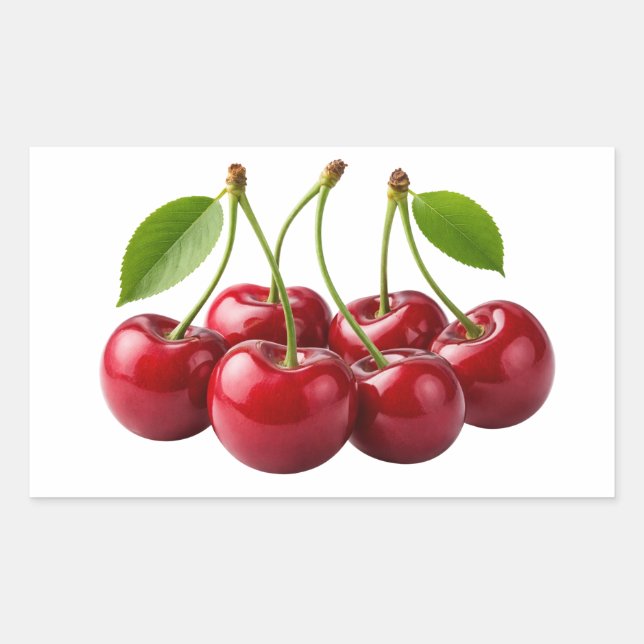Fresh Red Cherries With Green Leaves Sticker (Vorderseite)