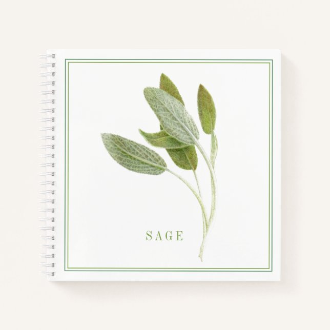 FRESH SAGE 8.5x8.5 SpiralNotebook Notizbuch (Vorderseite)