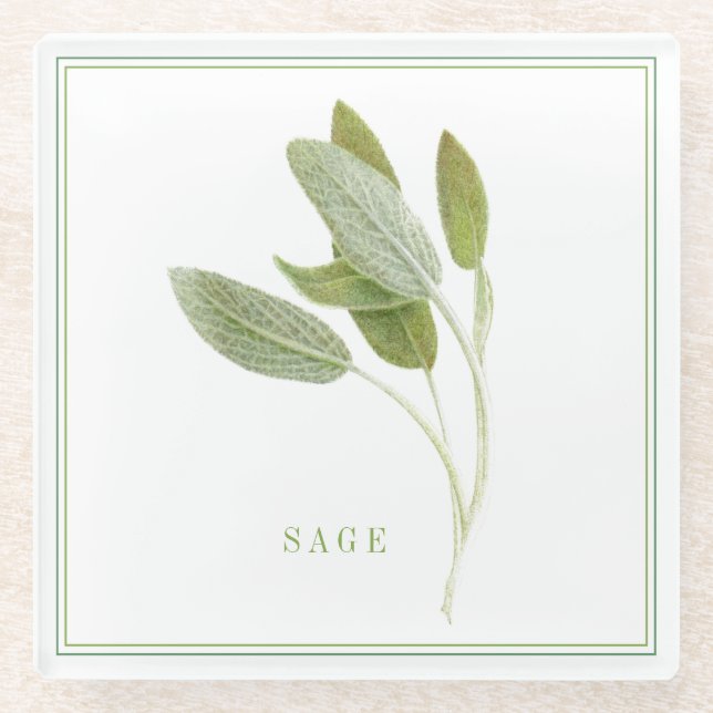 FRESH SAGE Glas Beverage Coaster (+text) Glasuntersetzer (Vorderseite)