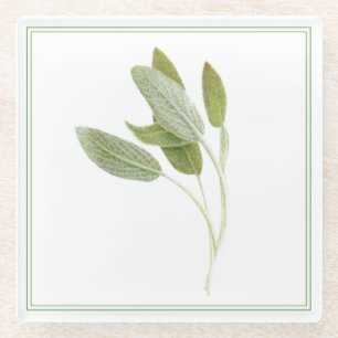 FRESH SAGE Glas Beverage Coaster (-text) Glasuntersetzer