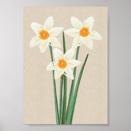 Fresh Spring Daffodin Poster