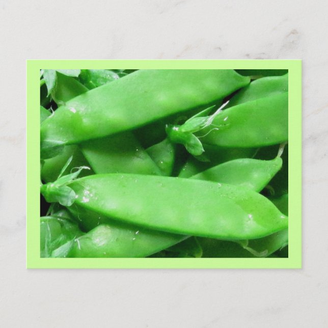 Fresh Spring Peel Postkarte (Vorderseite)