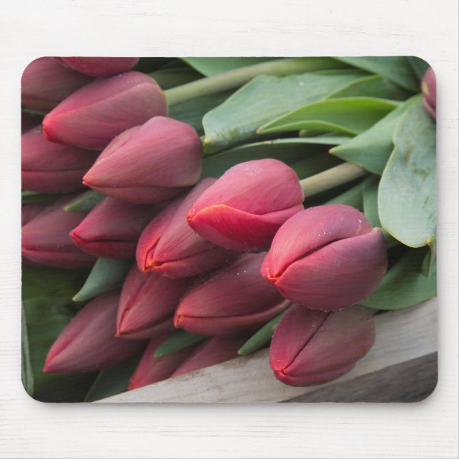 Fresh Spring Tulip Mousepad (Vorne)