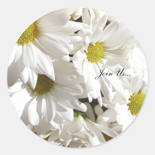 Fresh White Daisies Custom Umschlag Aufklebers Runder Aufkleber (Vorderseite)