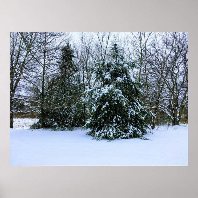 Fresh Winter Snow Poster (Vorne)
