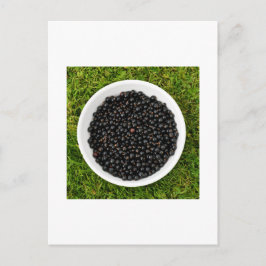 Freshly Picked Blackcurrants Postkarte