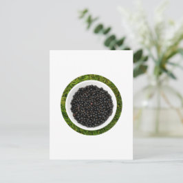 Freshly Picked Blackcurrants Postkarte
