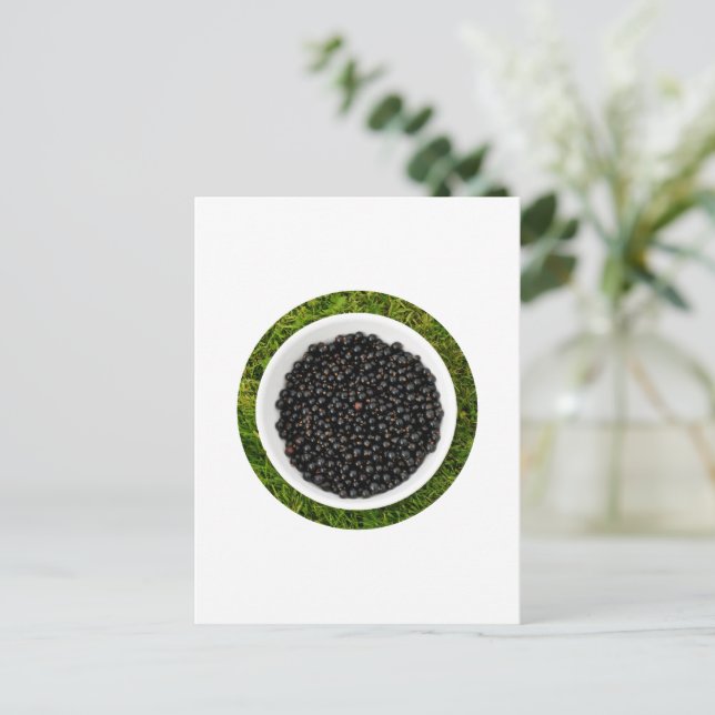 Freshly Picked Blackcurrants Postkarte (Stehend Vorderseite)