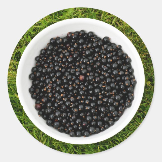 Freshly Picked Blackcurrants Runder Aufkleber (Vorderseite)