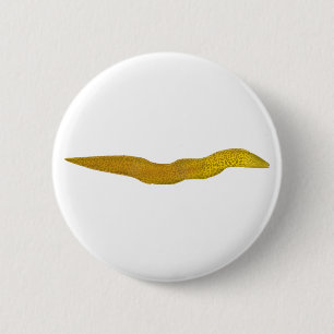 Freshwater Moray Button