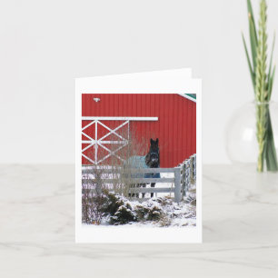 Fresianer im Schnee Feiertagskarte