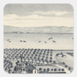 Fresno County, Kalifornien 20 Quadratischer Aufkleber