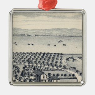 Fresno County, Kalifornien 20 Silbernes Ornament
