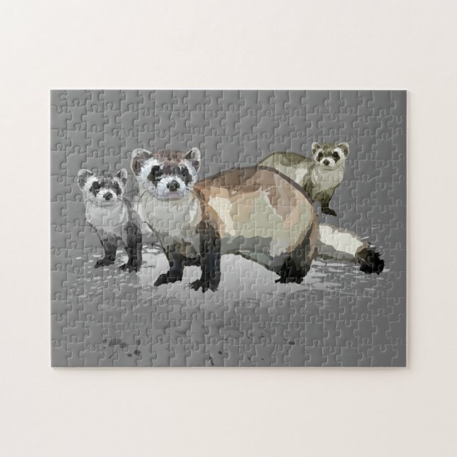 Frettchen (Horizontal)