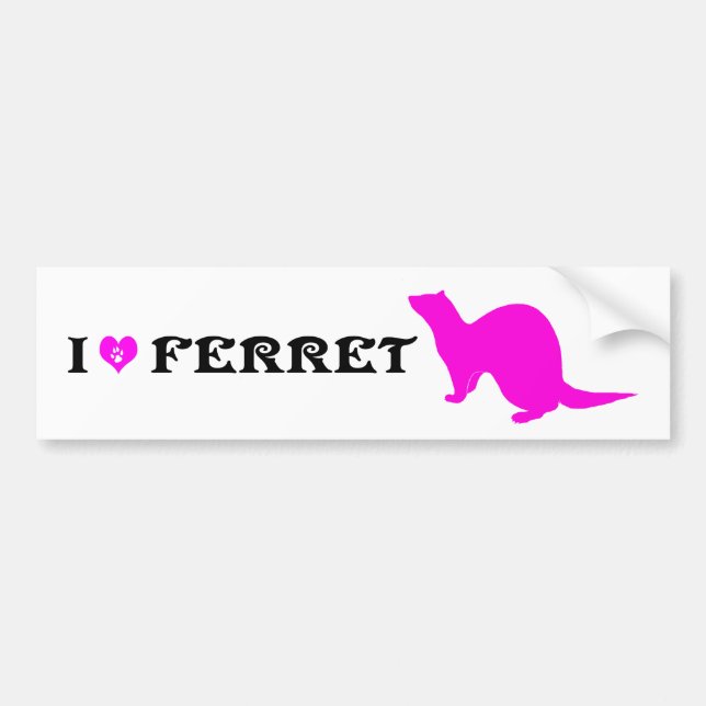 Frettchen (5) autoaufkleber (Vorne)