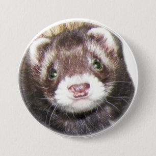 Frettchen-Gesichts-Bild Button