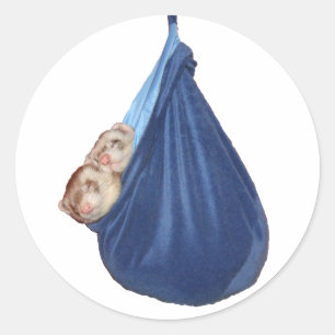 Frettchen in einem Schlafsack Aufkleber