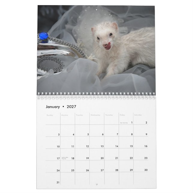 Frettchen-Kalender - 3 - Kalender (Jan 2027)