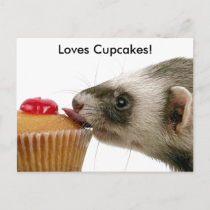 Frettchen lieben Cupcakes Postkarte