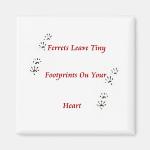Frettchen Pawprints Magnet