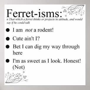 Frettchen stellt Redewendungen und Zitate Poster