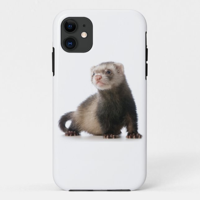 Frettchen-Telefonabdeckung Case-Mate iPhone Hülle (Rückseite)