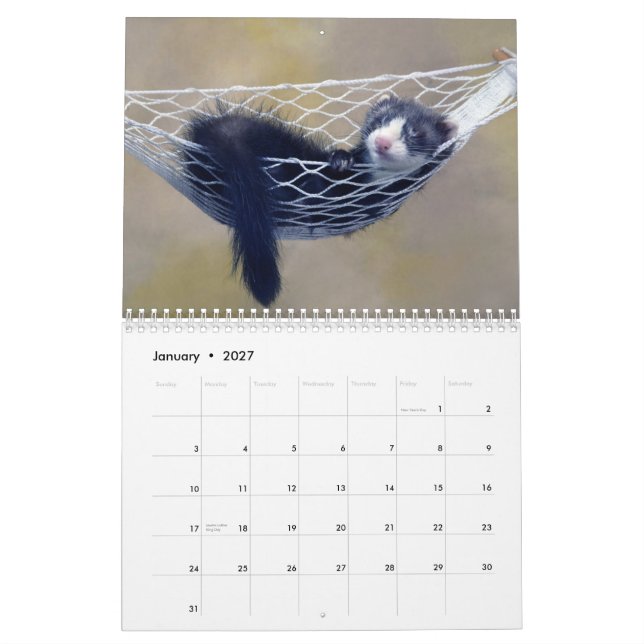Frettchen-Wandkalender Kalender (Jan 2027)