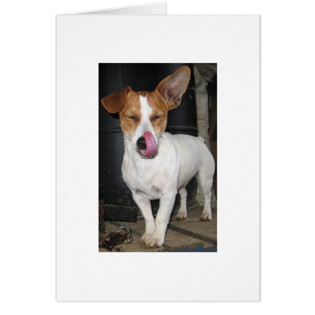 Freude, die sie Hiebe leckt (Vorne)