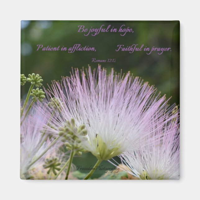 Freude in Hope Magnet (Vorne)