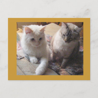 Freudenfreunde Postkarte