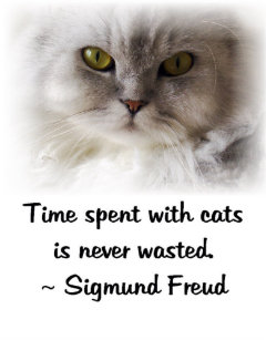 Get Sigmund freud zitate katze Free HD Sigmund Freud Zitate Katze