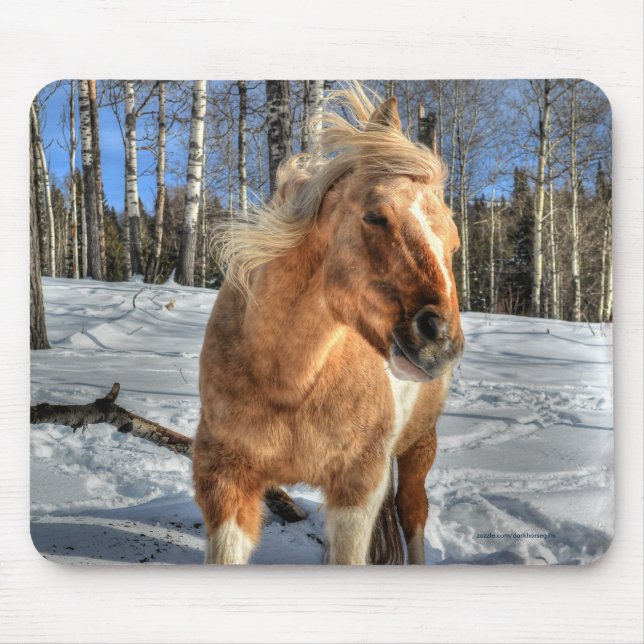 Freuen Sie sich auf den Palomino Pinto Pferd und S Mousepad (Vorne)