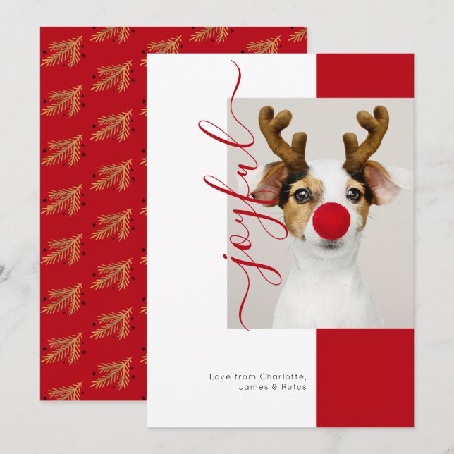 Freuen Sie sich auf die moderne Holiday Foto Card Einladung (Vorne/Hinten)