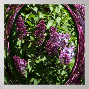Freuen Sie sich auf Lilacs...... Poster