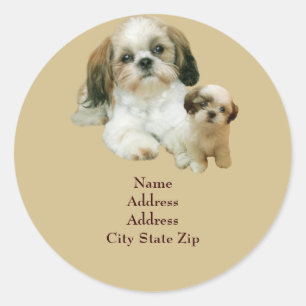 Freund-Adressen-Etikett Shih Tzu Runder Aufkleber