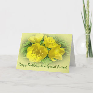 Freund Birthday Gelbe Primrosen - Sundrops Karte