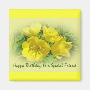 Freund Birthday Gelbe Primrosen - Sundrops Magnet
