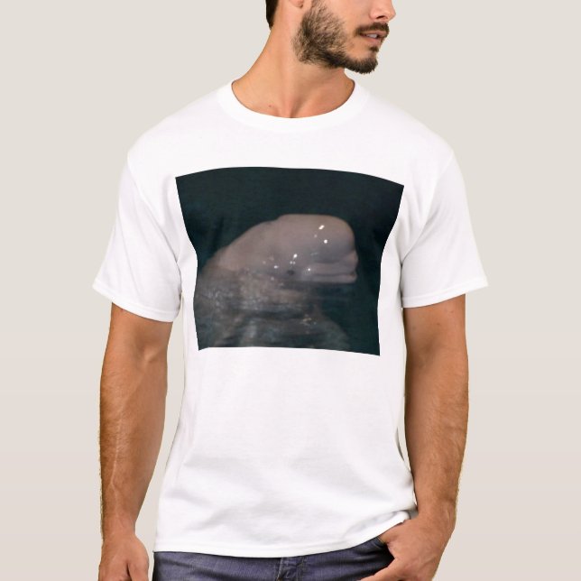 Freund der Weißwal T-Shirt (Vorderseite)