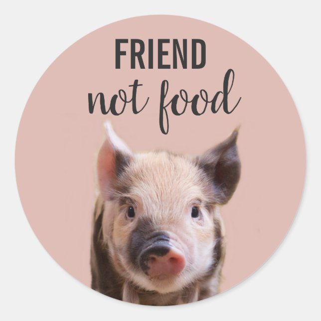 Freund, nicht Essen mit niedlichem Ferkel vegan Runder Aufkleber (Vorderseite)